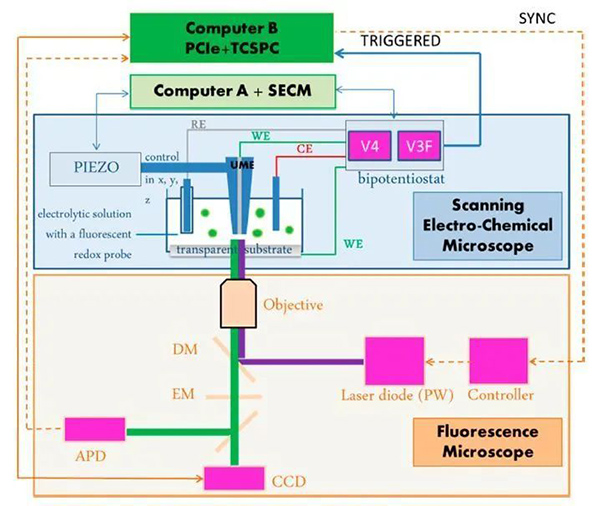 电化学工作站之微区扫描技术应用(图1)